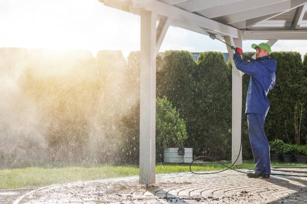 Best Sidewalk and Walkway Cleaning  in South Les, AK